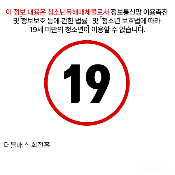 더블패스 회전홀