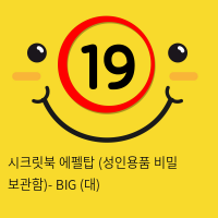 시크릿북 에펠탑 (성인용품 비밀 보관함)- BIG (대)